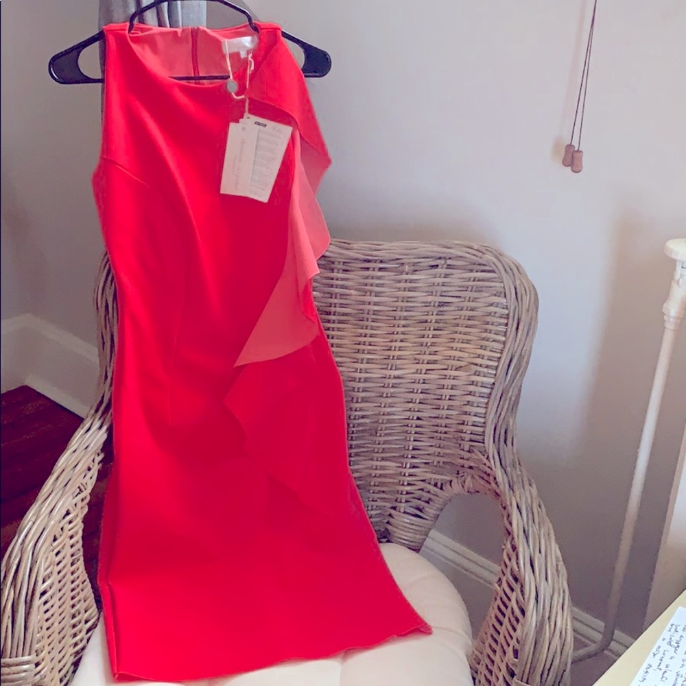 NWT Christies A Porter Authentic Italian dress.